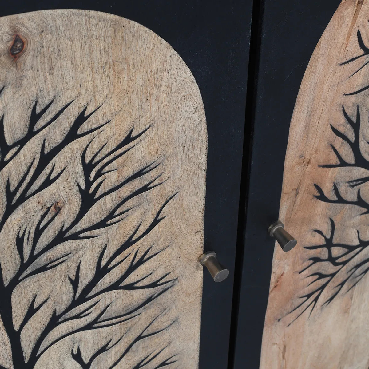Black Forest 2-Door Cabinet Hand Carved Mango Wood with Bold Black Finish