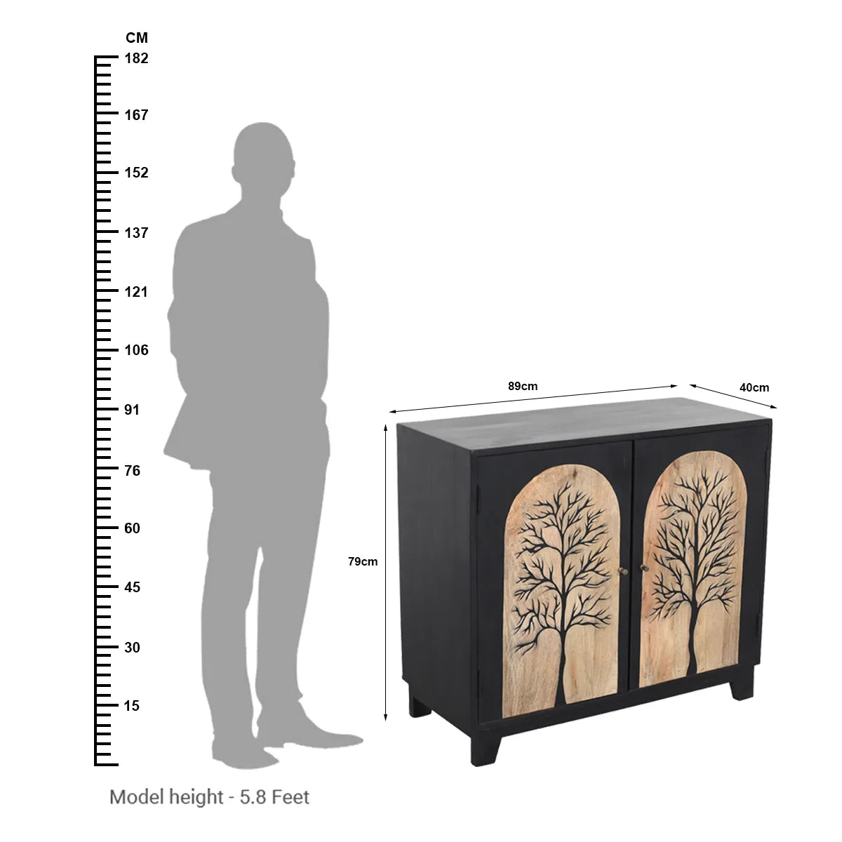 Black Forest 2-Door Cabinet Hand Carved Mango Wood with Bold Black Finish